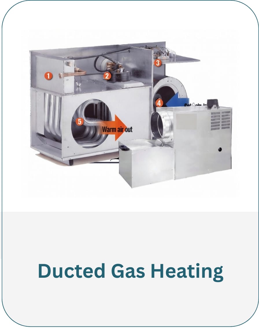 WhatsApp Image 2026-01-22 at 7.10.50 PM (2)