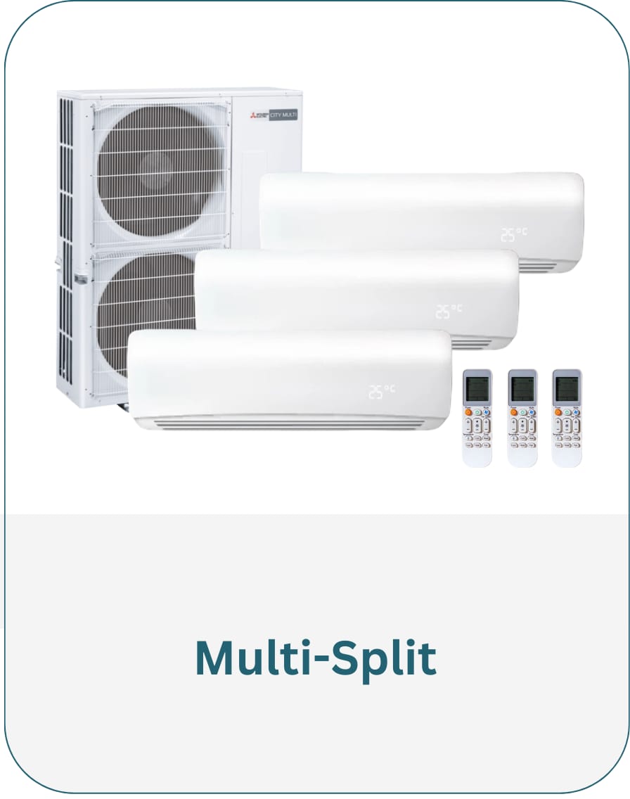 WhatsApp Image 2026-01-22 at 7.10.50 PM