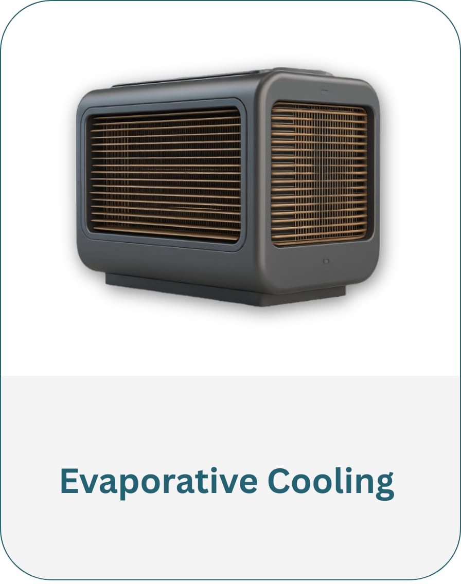 WhatsApp Image 2026-01-22 at 7.37.39 PM